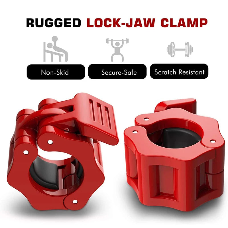 Gym Clips (1 PER ORDER)